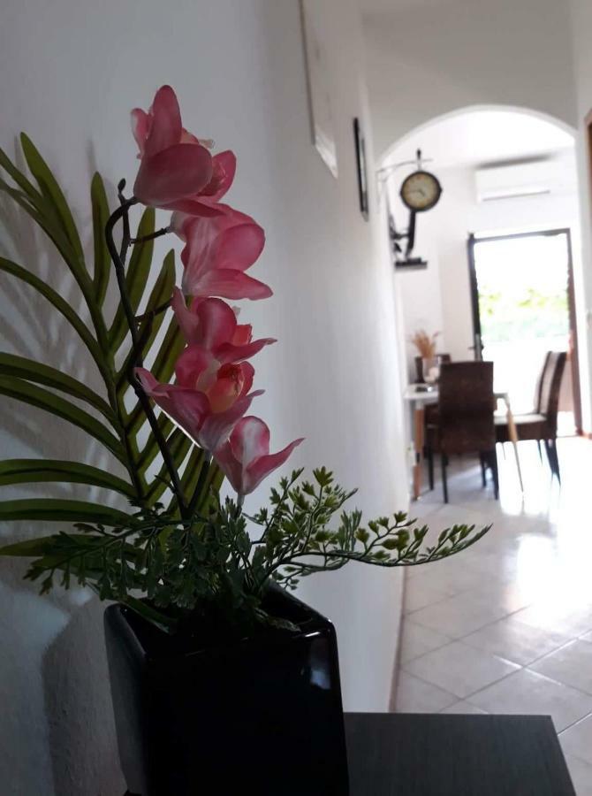 Haus Cataleya Apartment *
